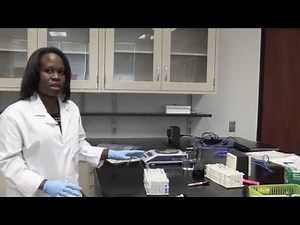 Dilutions #4 - Serial Dilutions