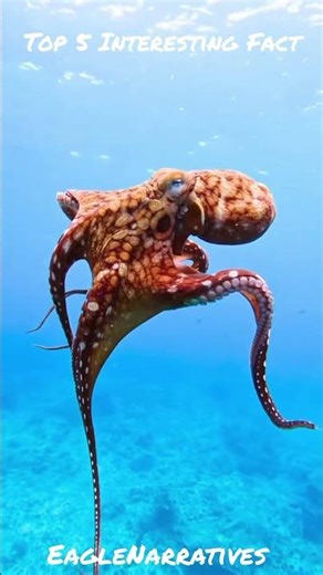 "Mind-Blowing Animal Facts You’ll Love 🦁"