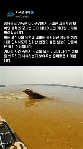 강물 위로 솟구친 정체불명의 생명체, 아마존이 만들어낸 착시 현상