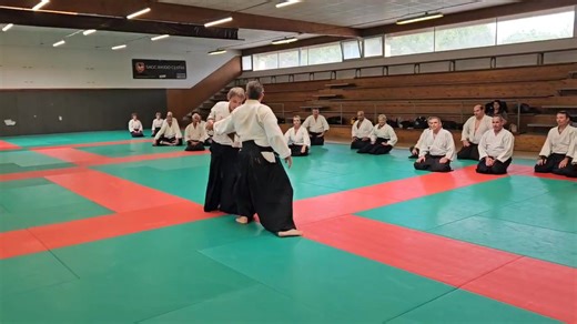 Matin 1er et 2e dan Après-midi 3e et 4e dan | Aïkido Ligue Nouvelle Aquitaine FFAAA