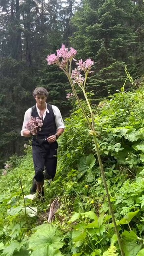 vash whenever he tries to flirt