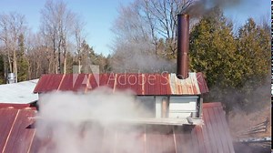 Sugar Shack in Quebec Boiling Sap From Maple Trees to Produce Maple Syrup in Wooden Cabin. Billowing Smoke Coming From Chimney 4k Aerial Drone Shot