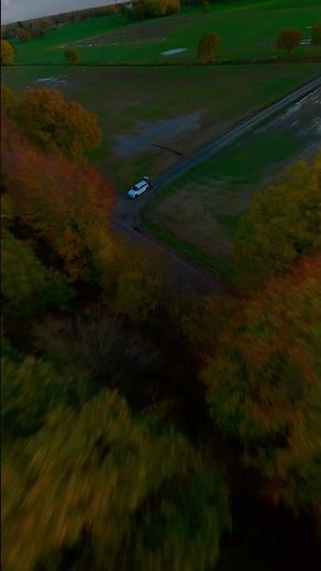 Autumn flight above the forest 🍁 cinematic drone view with fall colors 4K #fpv