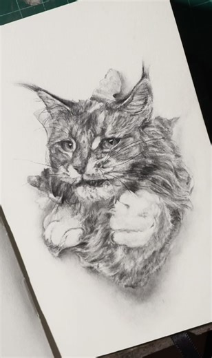 Cute Peekaboo Cat Drawing Tutorial