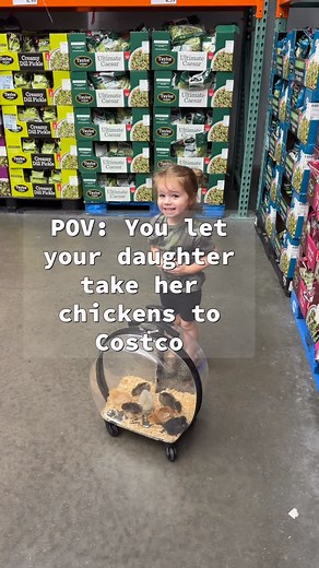 332K views · 81K reactions | HAPPY 3rd BIRTHDAY TO MY SWEET ANGEL! She INSISTED on bringing her new chickens grocery shopping lol of course she gets to do whatever she wants for her bday懶 I love you so much Ryder Rae懶懶懶懶 So proud of the amazing little human you are becoming 梁凉 Please slow down tho 﫶﫶 your growing way too fast 懶 | Tylernolantattoos | Facebook