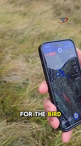 'Not possible at all without this technology...' We love seeing how the GPS helps and lets you enjoy the day by taking all the guesswork away. Please keep sending us your videos and photographs from the season. We love sharing them here! | Marshall Radio Telemetry
