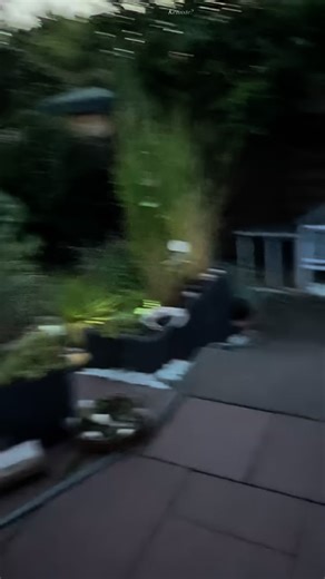 Ellen Marques • Hundetraining Köln & Online on Instagram: "Noch mal ein Punkt zum Thema Territorialität… 🐾 Es gibt viele Hunde, die rennen immer bellend in den Garten, um erst mal zu erklären, wessen Grundstück das eigentlich ist. Die einen Hunde machen es präventiv, da ist noch niemand in der Nähe, der das hören könnte. Andere wiederum ganz akut, wenn jemand vorbeigeht oder der Nachbar draußen ist. Klar ist es schön, einen Garten zu haben und den Hund dort laufen zu lassen. Aber: Es birgt eben