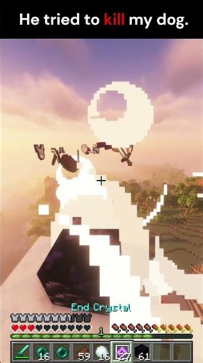 Nobody touches my dog... #minecraft #shorts