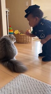 3.2K views · 85 reactions | Guilty Cat Faces Baby Officer… and the...