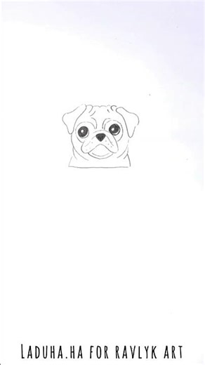 🐾🐶 Pug Drawing 🖼️✅ Fluffy Dog Tutorial for Beginners 📌 #shorts #drawing #RavlykArt