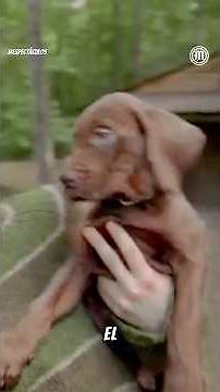 🐶 First look at the live-action Scooby-Doo