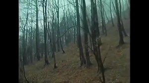 34K views · 238 reactions | IL BESTIONE | Italian trucks | Facebook