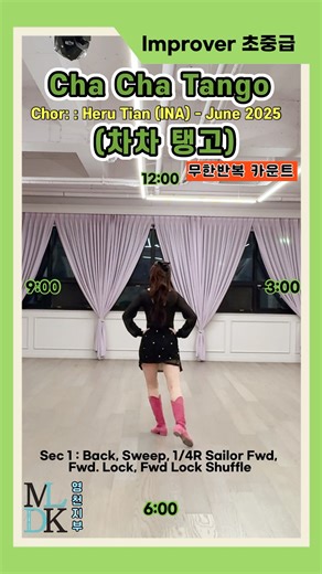 Cha Cha Tango 차차탱고 #tutorial #영천라인댄스 #linedance #dance #count #shorts