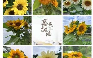 变量满足Python标示符的命名规则即可