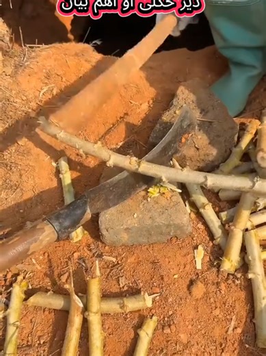 Unfreeze My Account: An Important Message