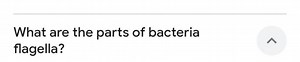 What are the parts of bacteria flagella?... | Filo