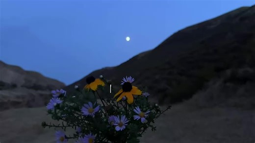 Amor en Tunisia: Un Viaje de Sensaciones