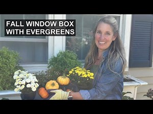 Easy Fall Window Box Planter Decor With Evergreens (Part 3 of 4)
