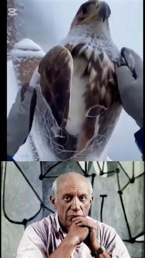 𝐖𝐨𝐰.......... 😱😱😱😱😱😱😱😱