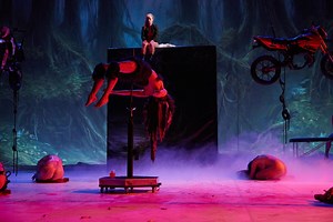 Dance by Florentina Holzinger: A Sulphurous and Transgressive Ballet Performance – Archyde