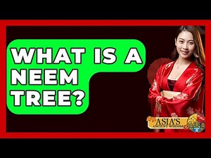 What Is A Neem Tree? - Asia's Ancient Wisdom
