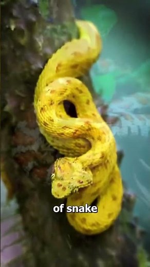 How Snake Venom Enters the Human Body | Snake Bite Explained Step by Step