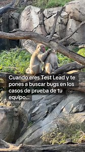 1.7K views · 27 reactions | Static Testing…  | Cool Testers | Facebook