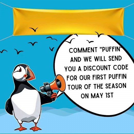 Last-minute deal alert!  Tomorrow marks our first puffin-watching tour of the season! Want in? Follow us, comment "PUFFIN" below, and we’ll send you a special discount code. Don't miss this unique opportunity to witness these enchanting birds in their natural habitat. #PuffinTour #BirdWatching #birdphotography #birdsofinstagram #birds #puffins #iceland | Ocean adventures | Facebook