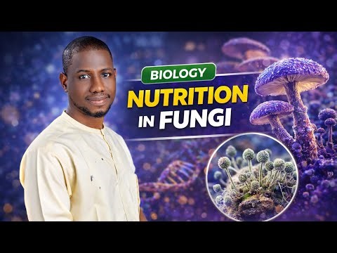 Nutrition in Fungi Explained | Saprophytic, Parasitic & Mutualistic (WAEC, JAMB & 100 Level Biology)