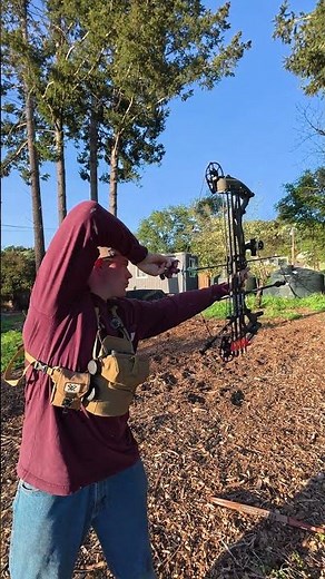 Recurve vs Compound Bow What's more Accurate #bow #archery #compoundbow #recurvebow