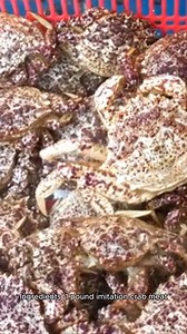 imitation crab recipe