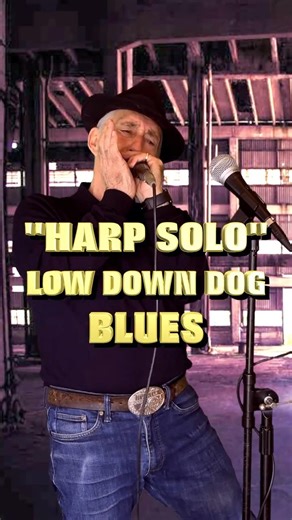 🔥"HARMONICA SOLO" LOW DOWN DOG BLUES #shorts