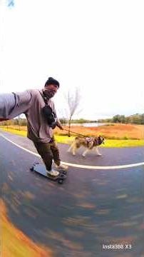 Skatejoring with husky on wet pavement. 🛹🐺🫣 #shorts #video #short #funny #dog #pets #animals