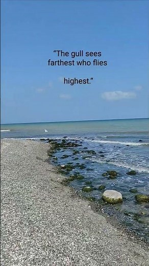 Richard Bach, Jonathan Livingston Seagull#books#sea#motivation