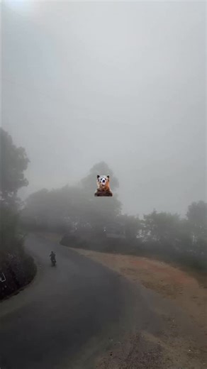 26K views · 316 reactions | Solo Trip Part 1 . . . . . #chillinginnepal #trip #solotrip #trek #butwal #funny | Chilling in Nepal | Facebook