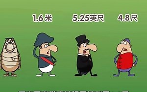 长度的测量动画