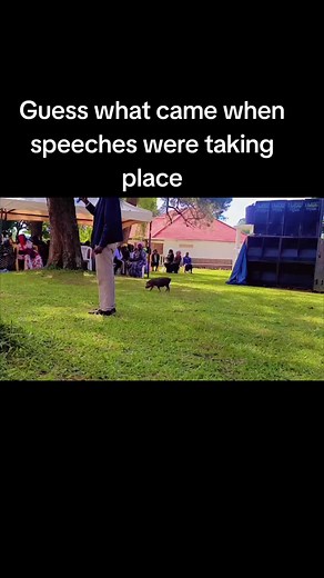 What Arrived During Speeches?