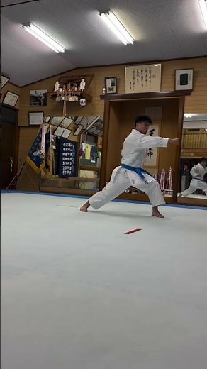 “Perfection is built through discipline, balance, and endless practice. 🥋