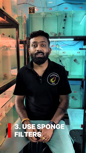 In this video, I explain the best filtration setup for Flowerhorn fish. For Flowerhorn tanks, avoid internal pressure motor filters as they can create strong turbulence and stress the fish. Instead, use powerful submersible filters or sponge filters for gentle and effective filtration. Submersible filters give strong mechanical and biological filtration without harsh pressure, and sponge filters provide excellent biological support with gentle flow — perfect for Flowerhorn health and tank stabil