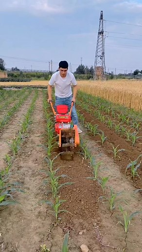 Innovative Farmer Tools: Exploring Tiller Machines