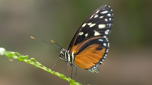 Border Marker Selections - Exposure Software