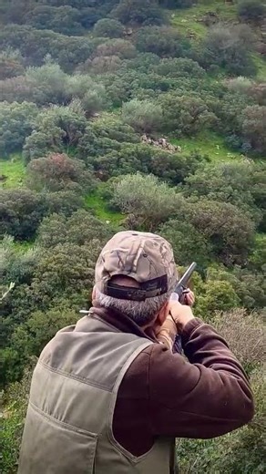 Dead Accurate 🎯 | One Shot Down Hunt #huntinglife #outdoorlife #deerhunt #wildlife #buckhunt #nature