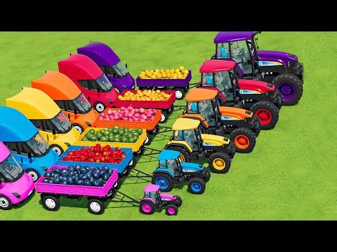 TRANSPORTING Mini to BIG TRACTORS & FRUITs with FLATBED TRAILER to SELLING POINT!!