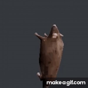Rat Spin on Make a GIF