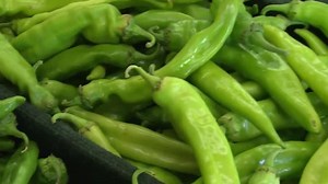 Celebrate New Mexico: Hatch Chile Festival