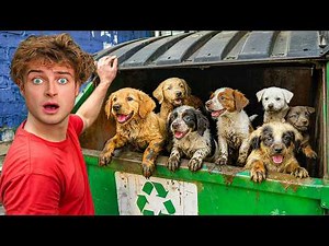 I Found 10 Lost Puppies in a Dumpster!