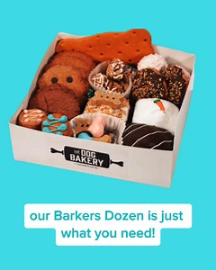 Does your dog get bored of the same old treats? 🐾 Give them variety and excitement with our fresh-baked Barker’s Dozen – 13 unique treats your dog will LOVE! ✅ Trusted by thousands of dog parents ✅ Handmade with 100% dog-safe ingredients Shop Now to grab your Barker’s Dozen before it’s gone! | The Dog Bakery