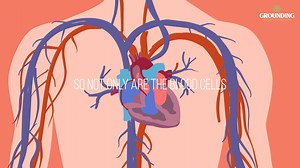 Grounding is like hitting the reset button for your body 🌟 - Helps regulate cortisol levels - Decreases stress and anxiety - Improves nervous system function 15% OFF with code "NATURAL15" Order now 👉 https://groundingofficial.com/ | Grounding