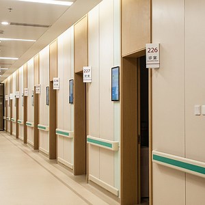 [Hot Item] Factory Price Debo Environmentally Friendly Material Medical Wall Panels Safe Interior Wall Cladding