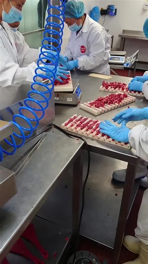 Automatic Skewer Machines for BBQ Restaurants